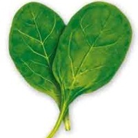 ������ �����: ������